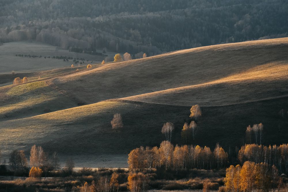 Photograph by Татьяна Мещерякова