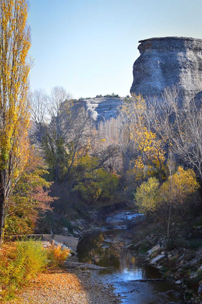 Photograph by Екатерина Гордеева