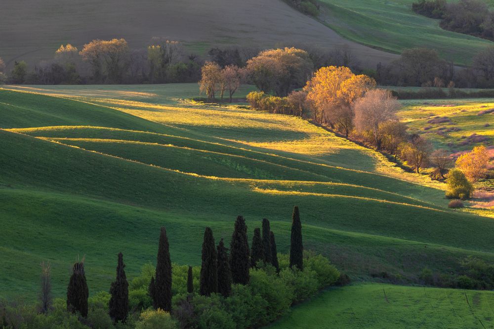 Photograph by Евгения Чех