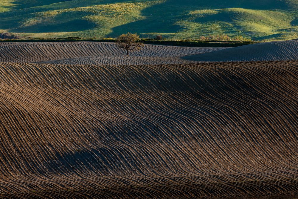 Photograph by Евгения Чех