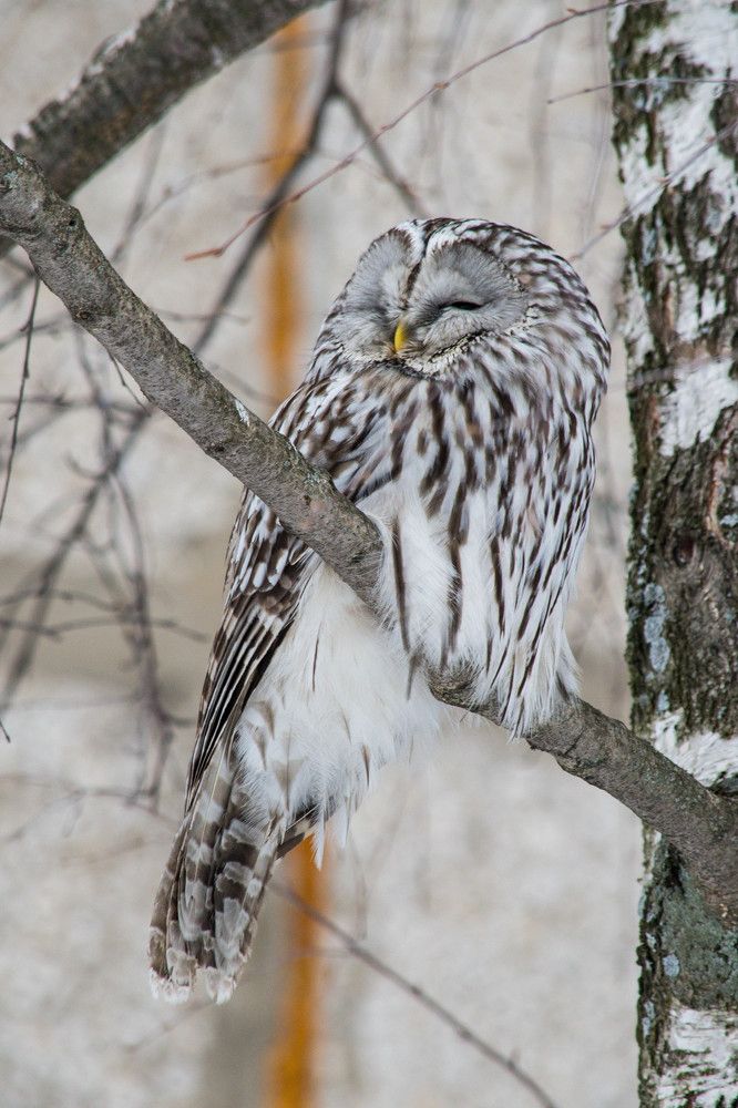 Photograph by Ирина