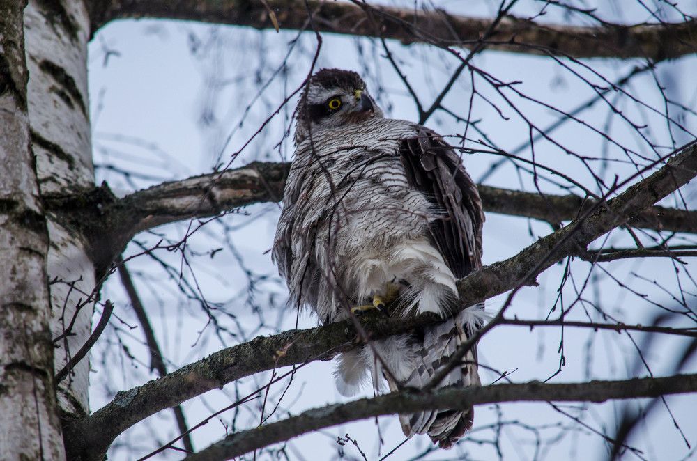 Photograph by Ирина