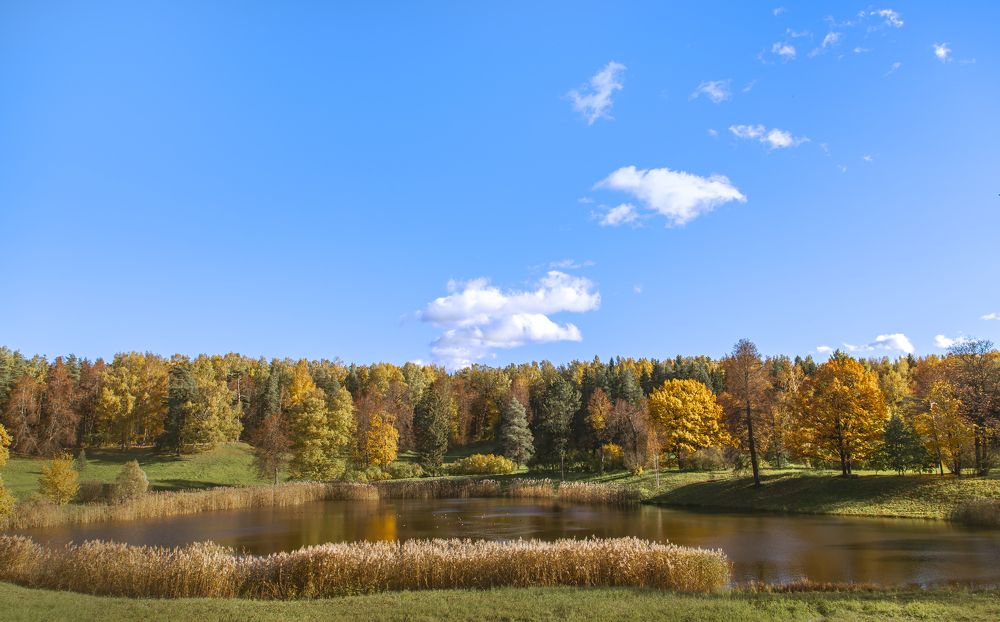 Фотография автора Наталия Одинцова