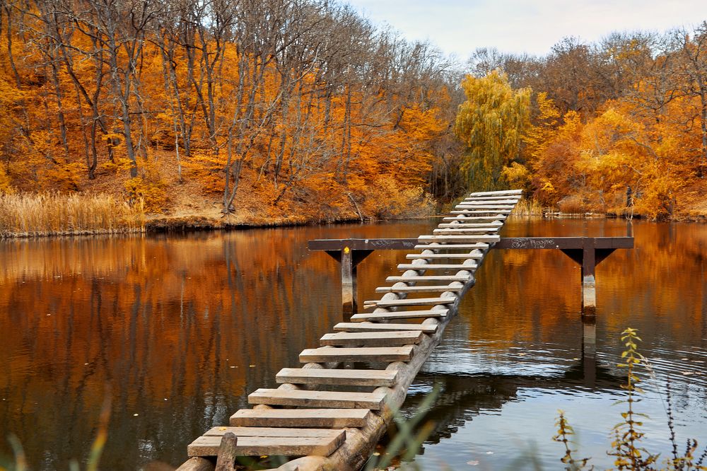 Photograph by Денис Будняк