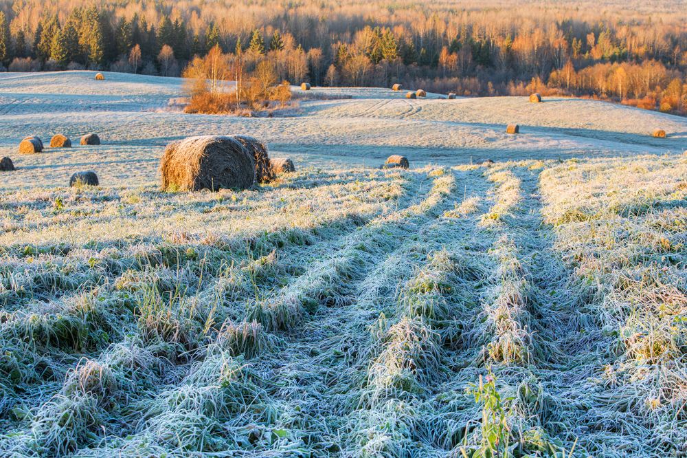 Photograph by Марина Маликова