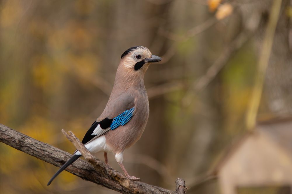 Photograph by Виталий Маслов