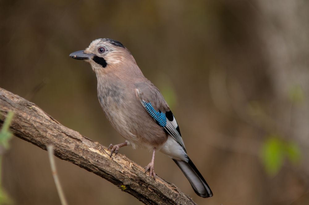 Photograph by Виталий Маслов