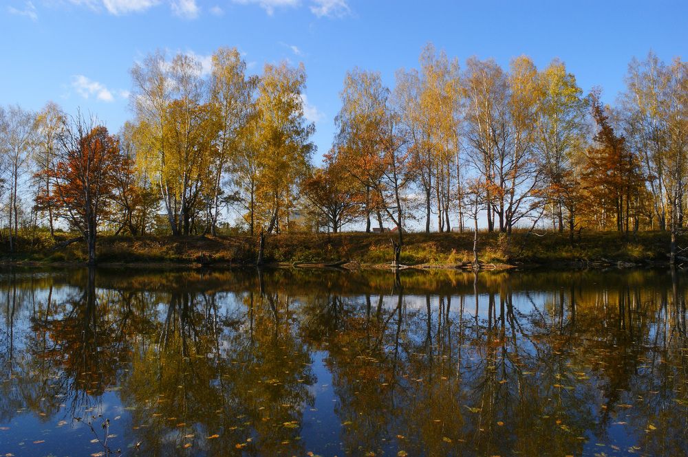 Закружила осень.