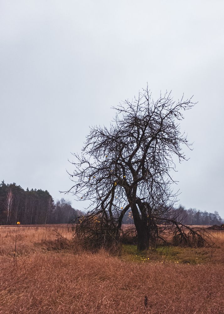 Photograph by Алексей Крукович