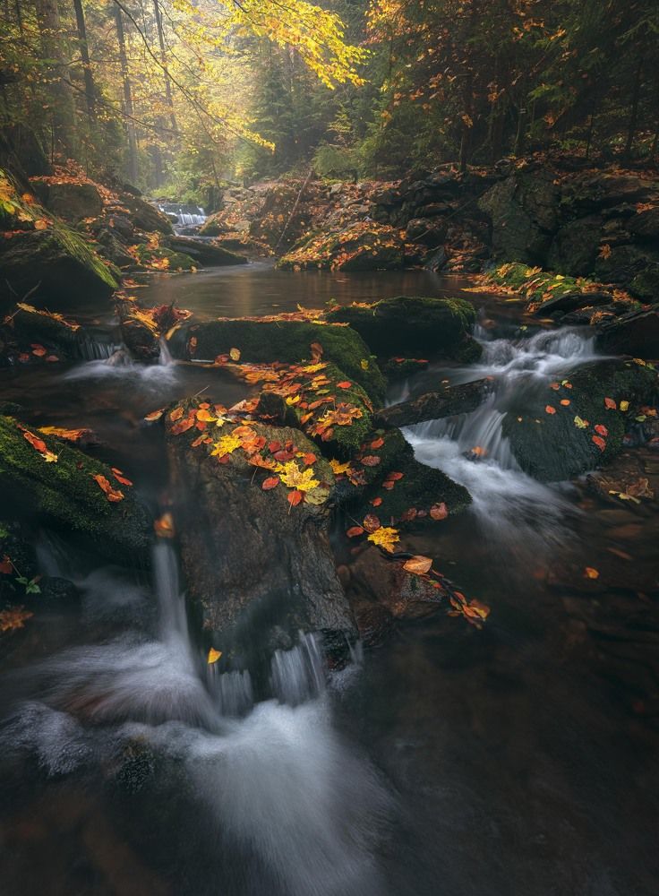 Autumn colour palette