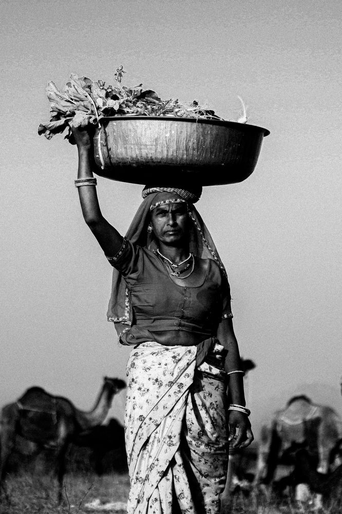 Photograph by Yadhav.k