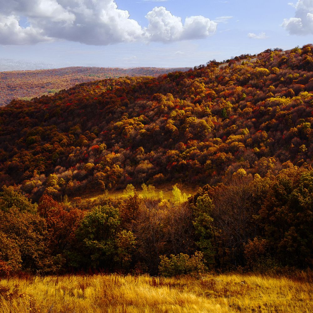 Photograph by Oleg Kozachok