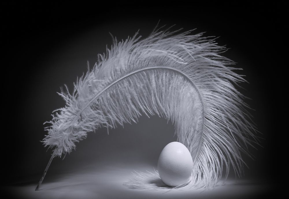 История полёта