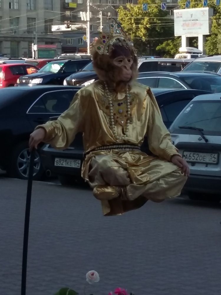 Photograph by Елена Горева