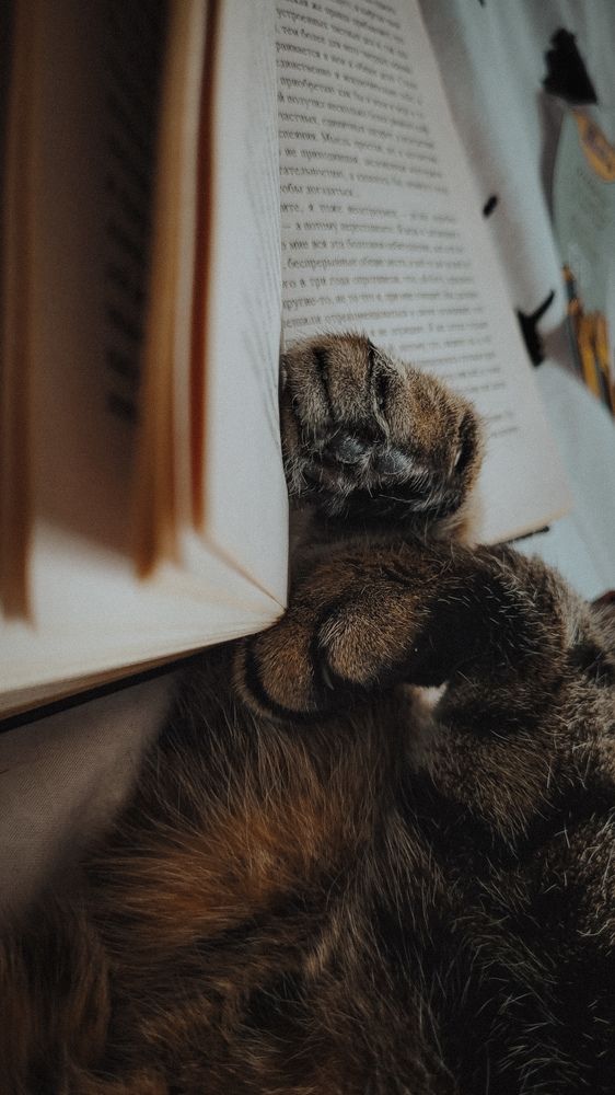 Photograph by Александра Егорова