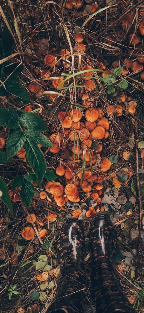 Photograph by Александра Егорова