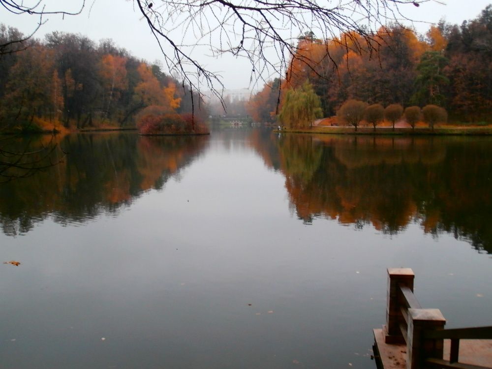 Photograph by ,Бурова Лариса