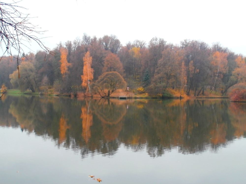 Photograph by ,Бурова Лариса