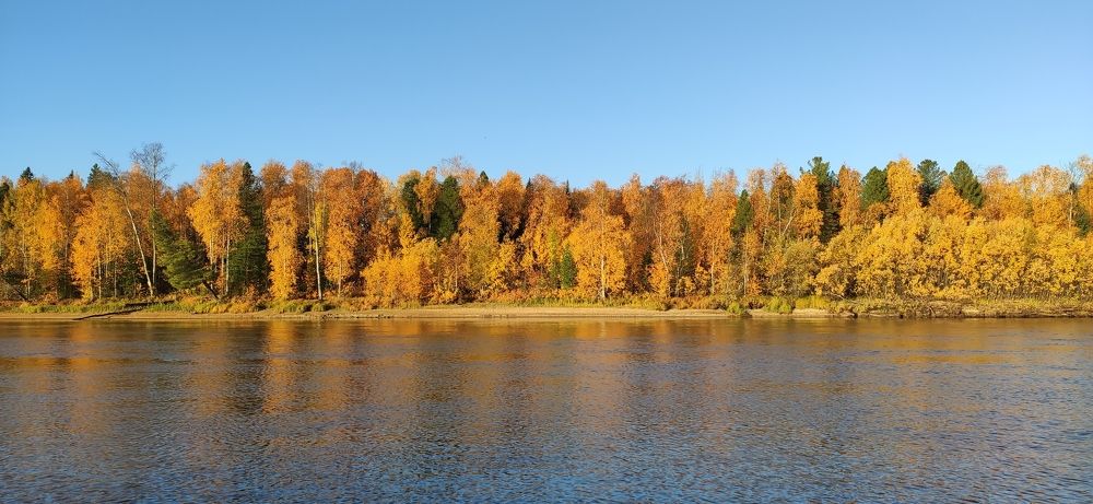 Photograph by Григорий Шишонков