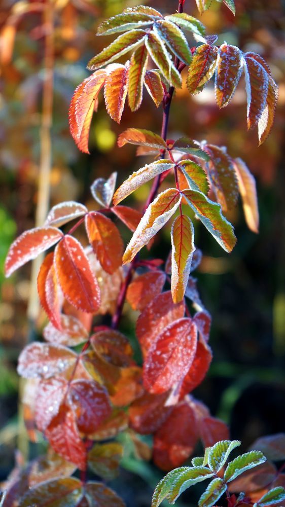 Photograph by АНДРЕЙ ОБРЯДОВ