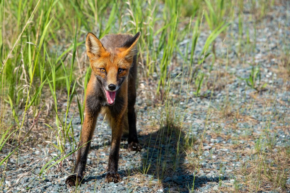 Photograph by Кадырова Марина