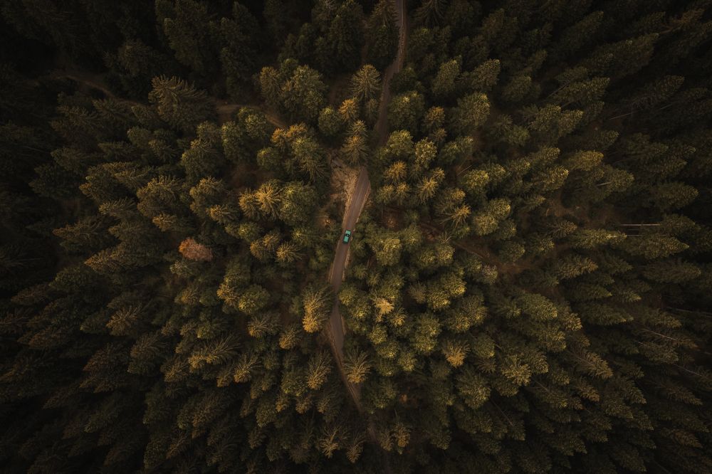 Photograph by Srdjan Solaja