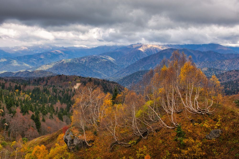 Photograph by Константин Шишкалов