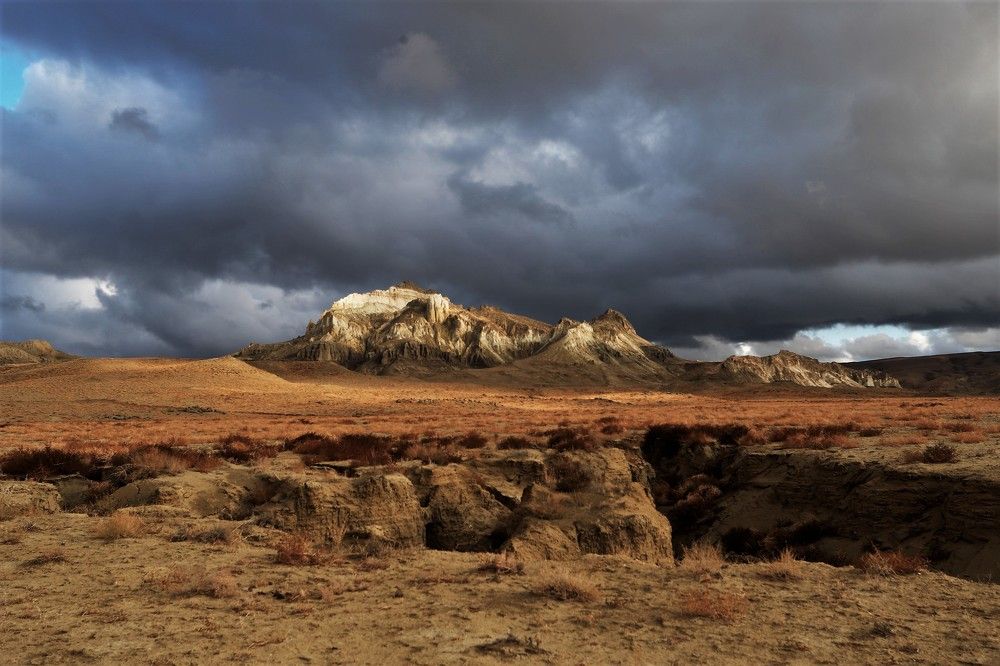 Photograph by Максимушкина Ольга