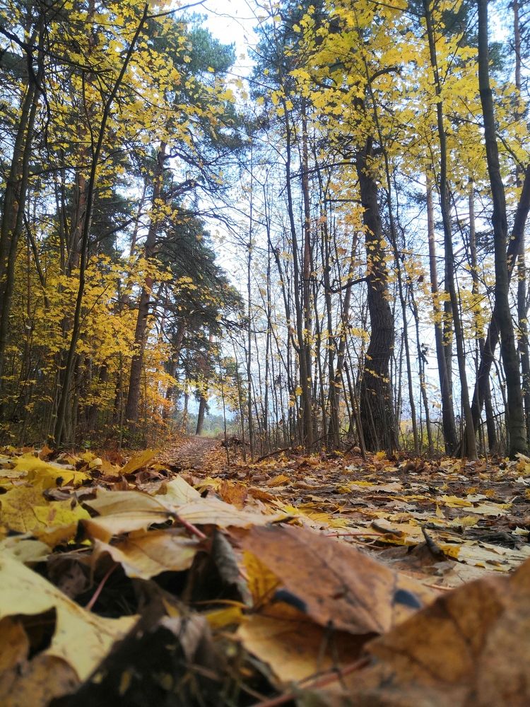 Photograph by Анна Голенева