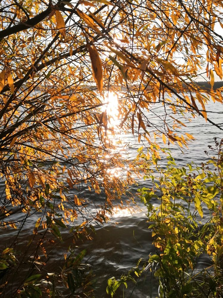 Photograph by Анна Голенева