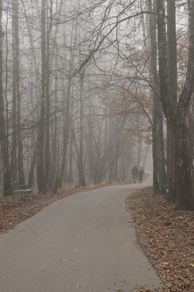 Photograph by Елена Можар