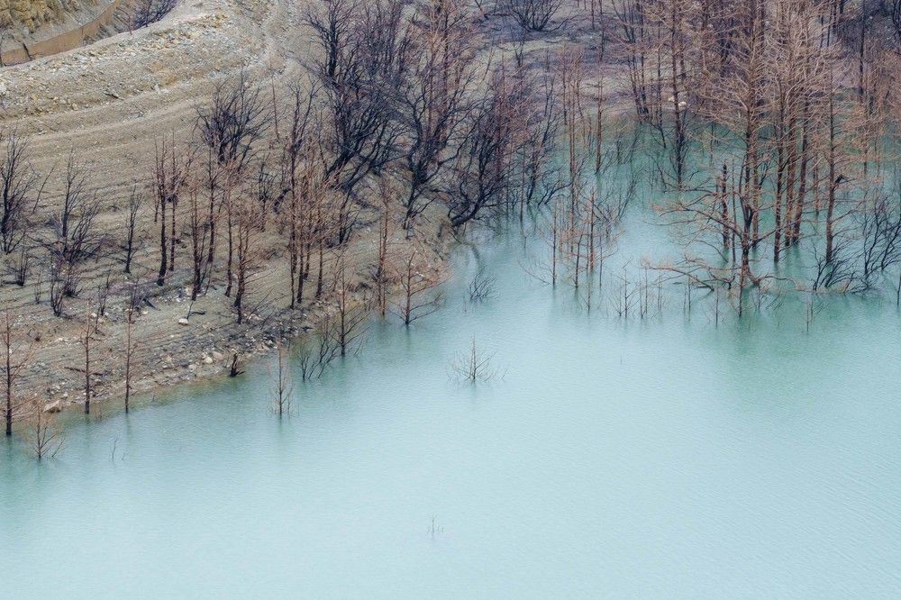After the fire in the Itoiz reservoir, Navarra (Spain)...