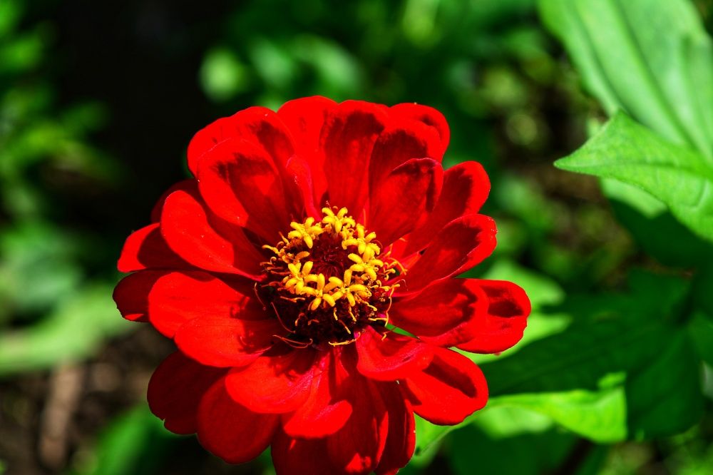 Photograph by Наталья Светлова