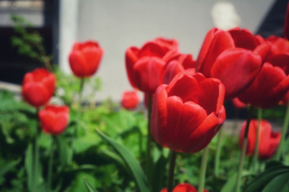 Photograph by Наталья Светлова