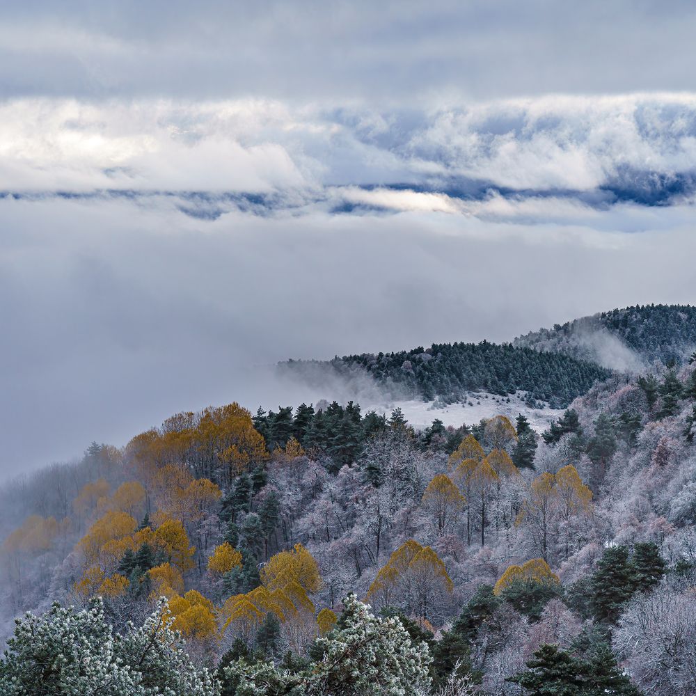 Photograph by Ilya Yablonko