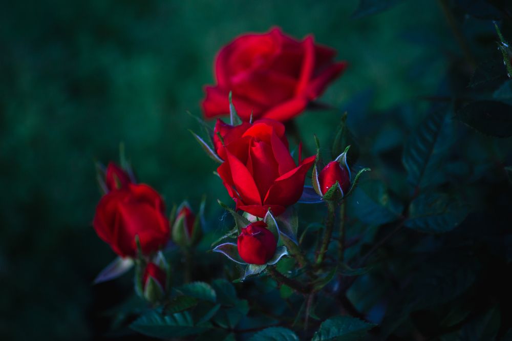 Photograph by Екатерина Нефедова