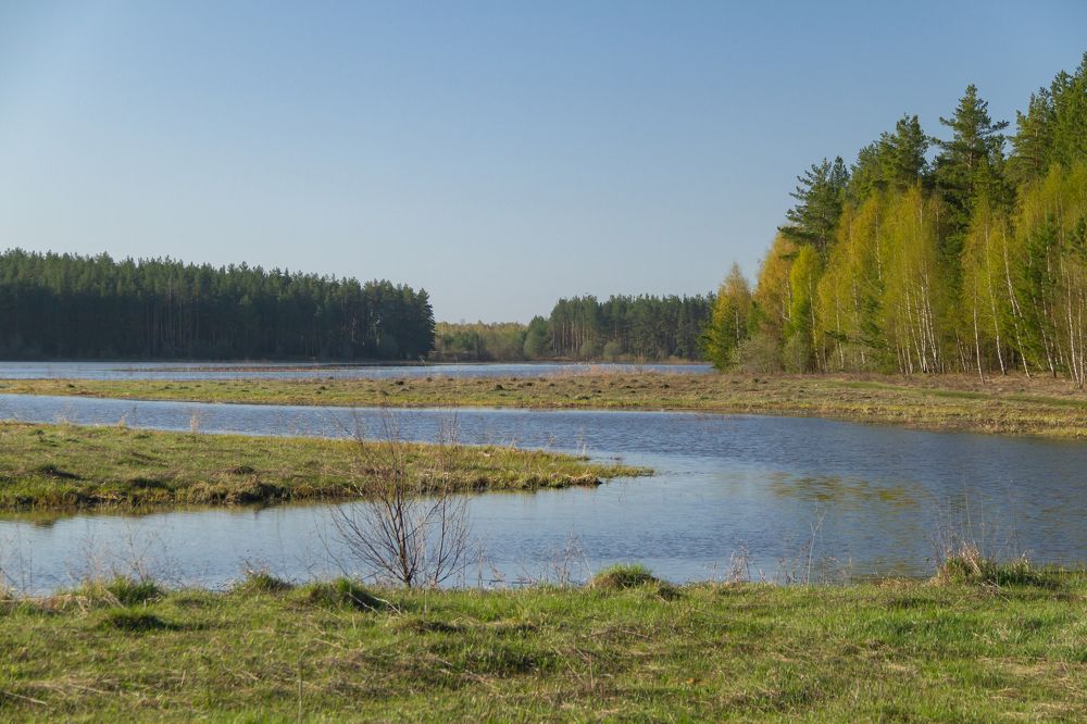 Photograph by Алексей