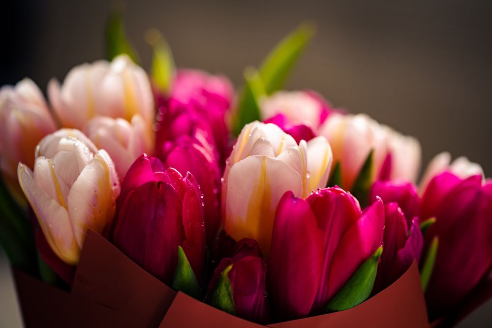 Photograph by Алексей Петров