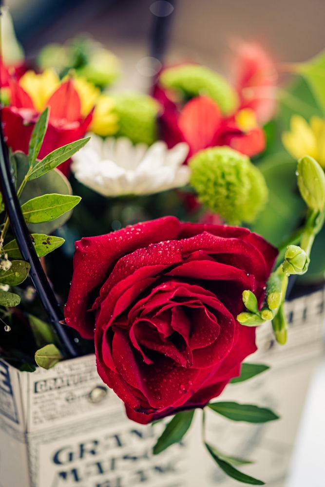 Photograph by Алексей Петров