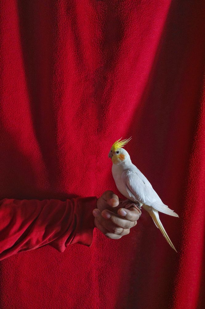 Photograph by Iftekhar Hossain