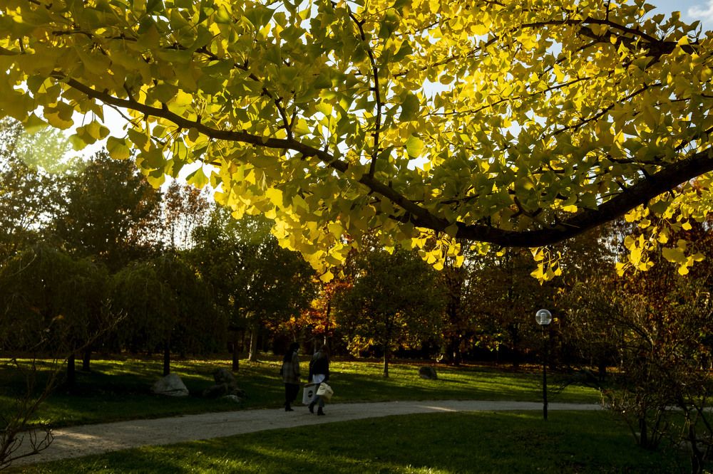 Photograph by İNCİ KOYUNCU