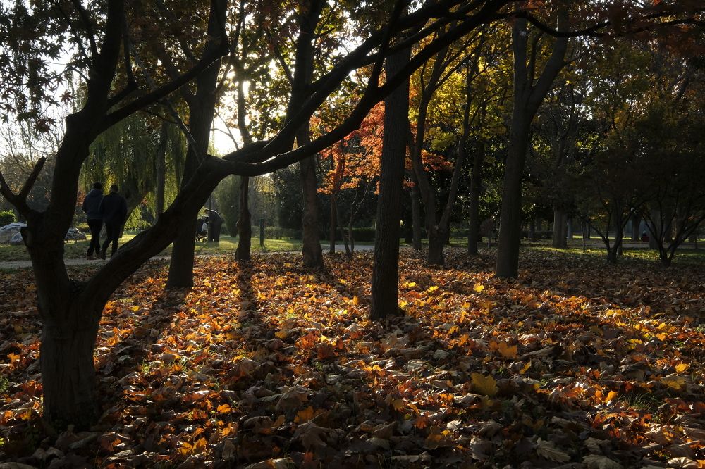 Photograph by İNCİ KOYUNCU