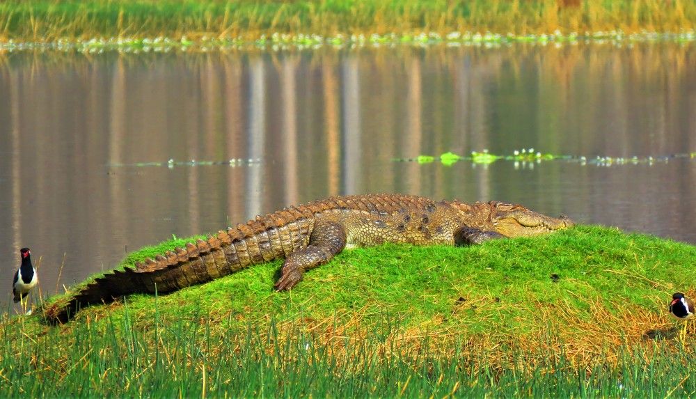 Photograph by ANISH BISWAS