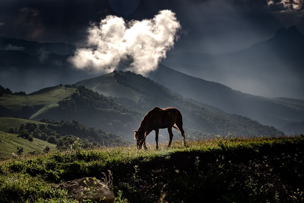 Photograph by Екатерина Нефедова