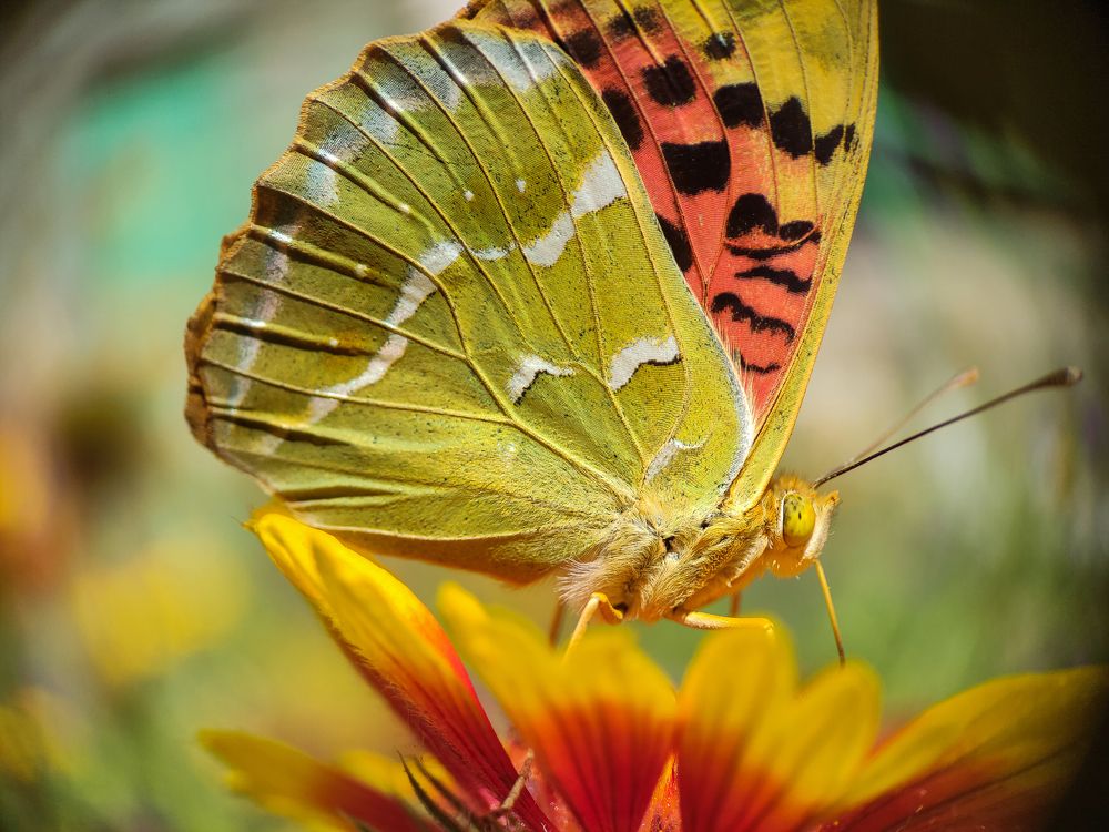 Photograph by Дина Горбачёва