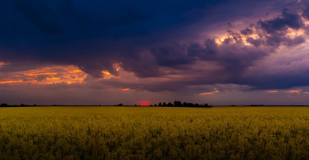 Photograph by Диана Бородзе