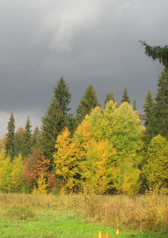 Photograph by Татьяна