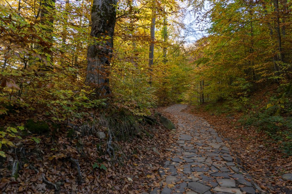 Фотография автора Ирина Зайцева