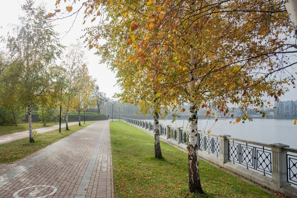 Photograph by Екатерина Богдасарова