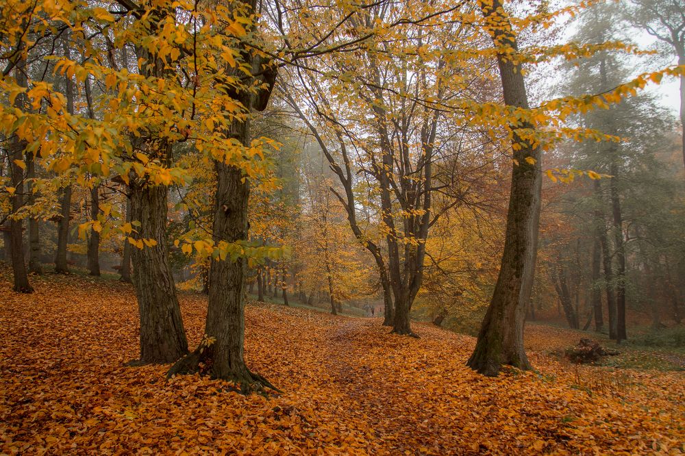 Photograph by Наталья Брюхненко